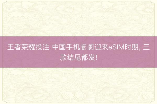 王者荣耀投注 中国手机阛阓迎来eSIM时期, 三款结尾都发!