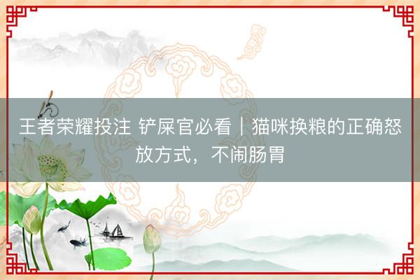 王者荣耀投注 铲屎官必看｜猫咪换粮的正确怒放方式，不闹肠胃