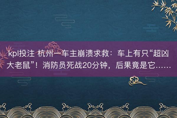 kpl投注 杭州一车主崩溃求救：车上有只“超凶大老鼠”！消防员死战20分钟，后果竟是它……