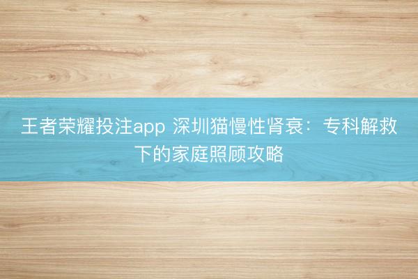 王者荣耀投注app 深圳猫慢性肾衰：专科解救下的家庭照顾攻略