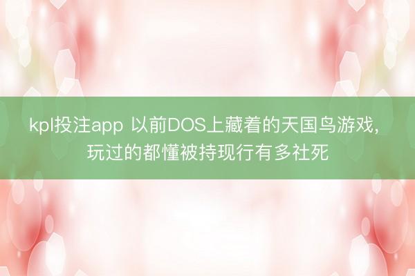 kpl投注app 以前DOS上藏着的天国鸟游戏, 玩过的都懂被持现行有多社死