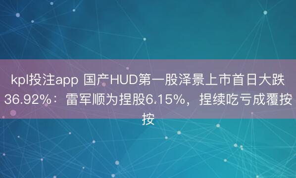 kpl投注app 国产HUD第一股泽景上市首日大跌36.92%：雷军顺为捏股6.15%，捏续吃亏成覆按