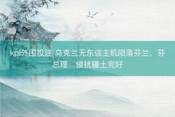 kpl外围投注 乌克兰无东谈主机陨落芬兰，芬总理：侵扰疆土完好