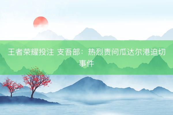 王者荣耀投注 支吾部：热烈责问瓜达尔港迫切事件